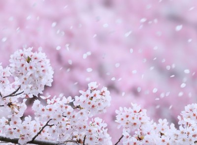 トップ用イメージ