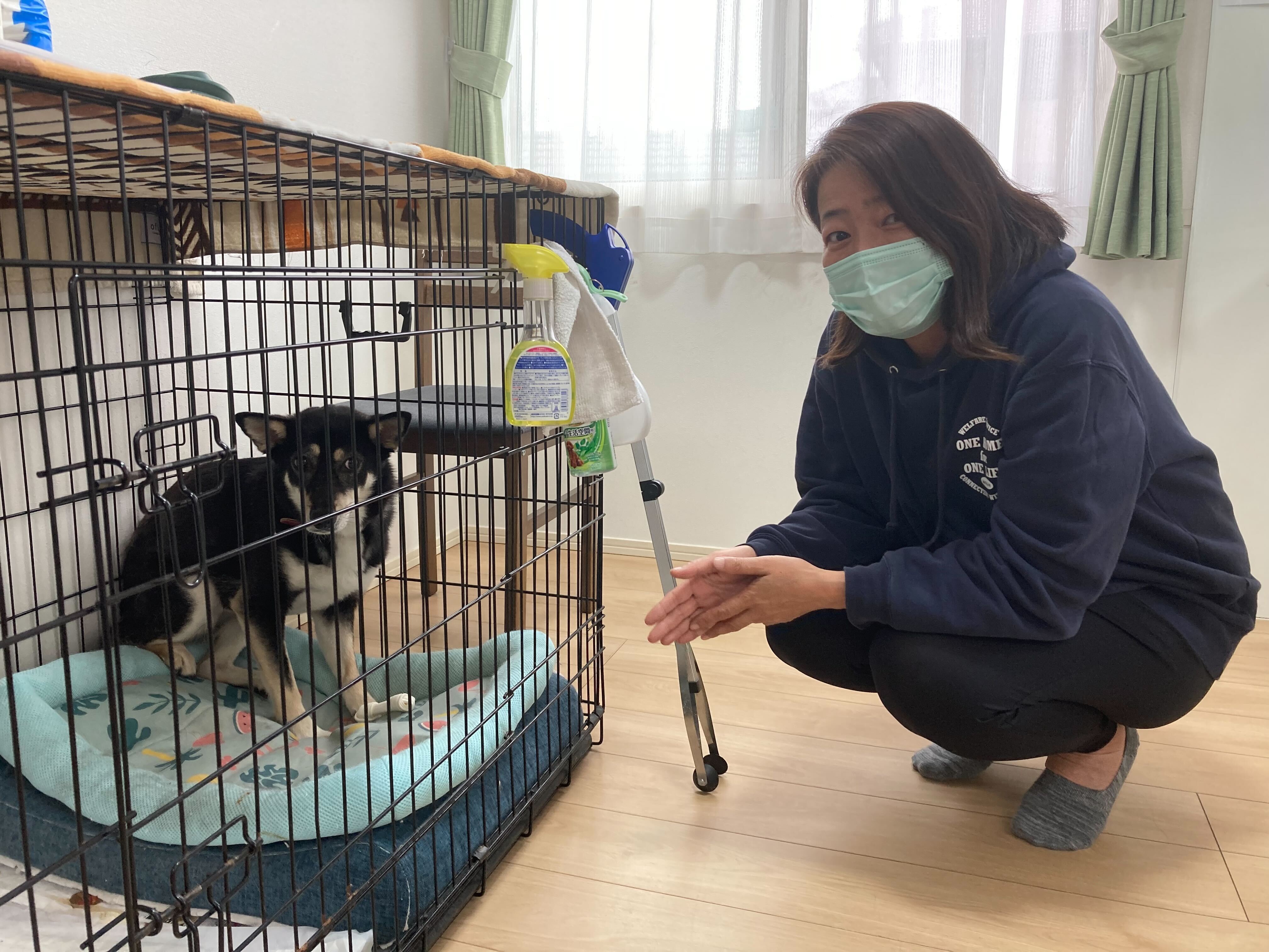 介護福祉士でサービス管理責任者の藤田良子さんと保護犬・タニシ