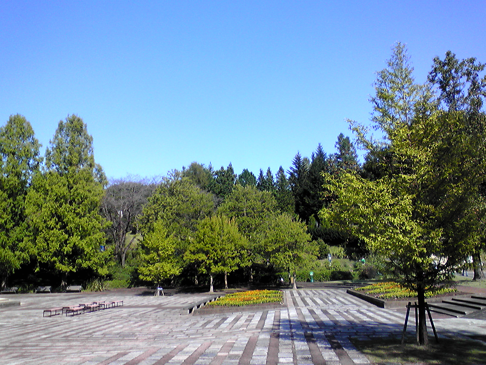 国立武蔵丘陵森林公園