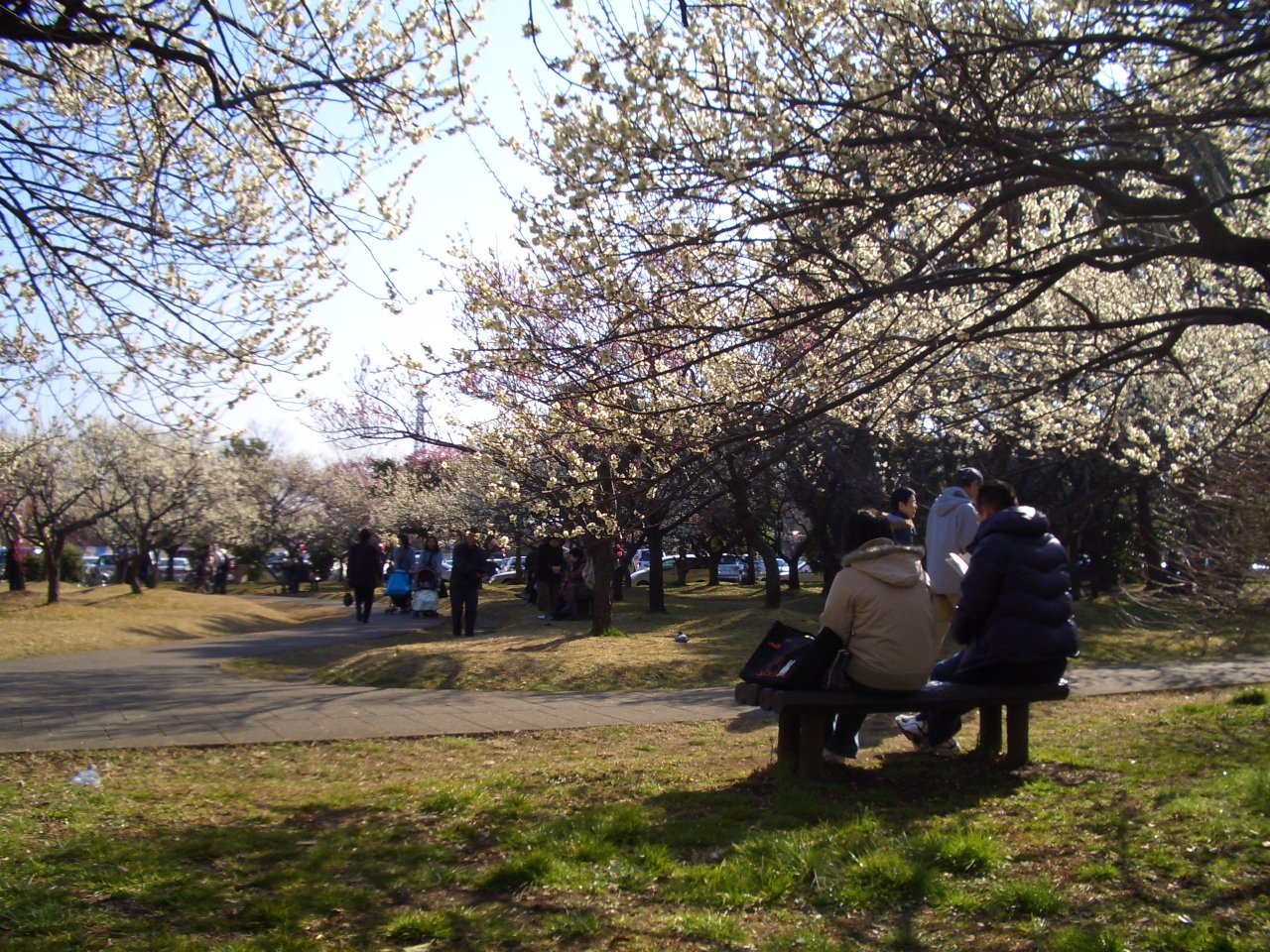 大宮公園