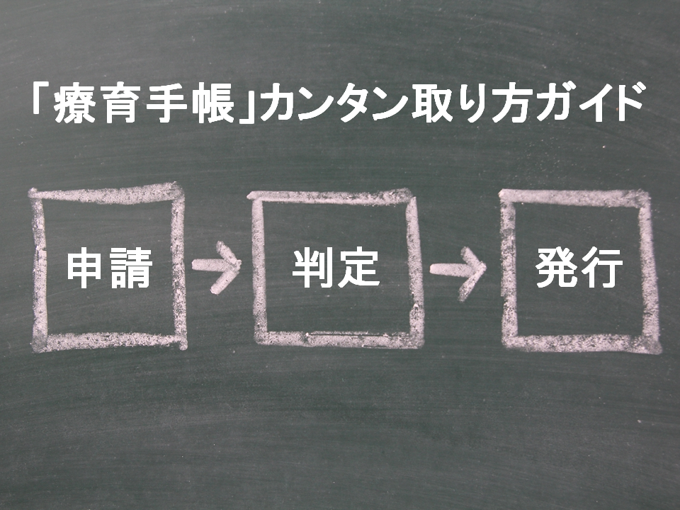 療育手帳ガイドのイメージ