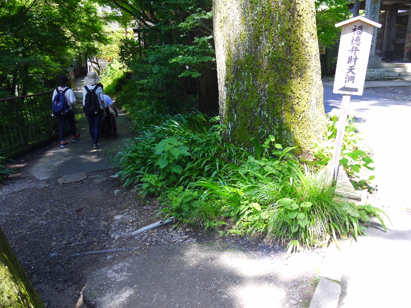 登山道も舗装されてない道の写真