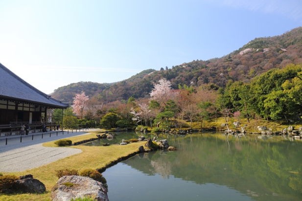 天龍寺の画像"