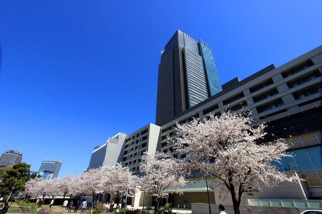 東京ミッドタウンの画像