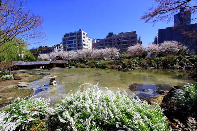 檜町公園の画像