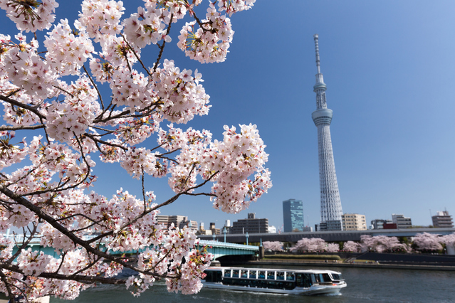 隅田公園の画像