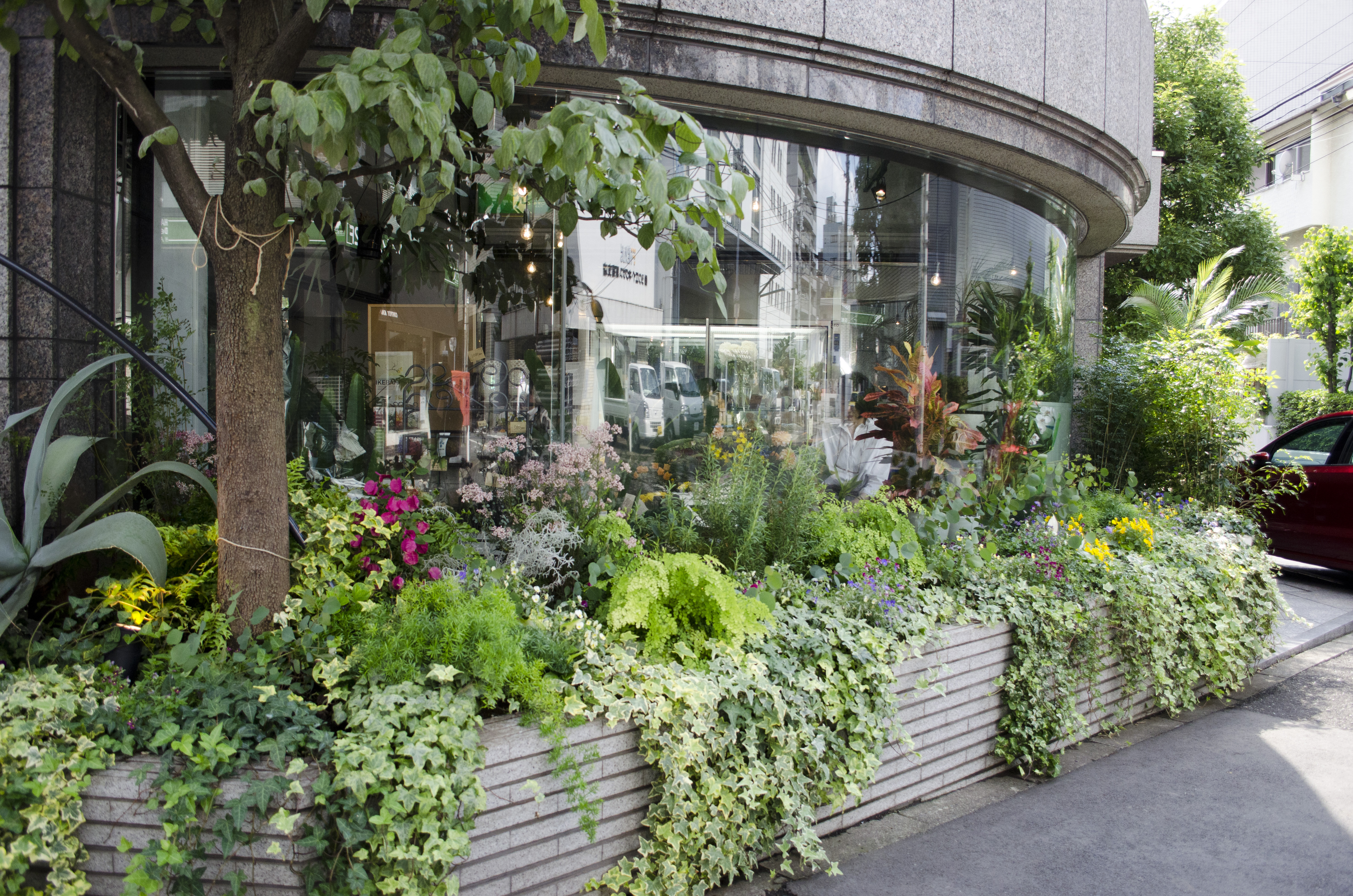 障がい者が働くお花屋さん＆カフェ・ローランズ　イメージ画像