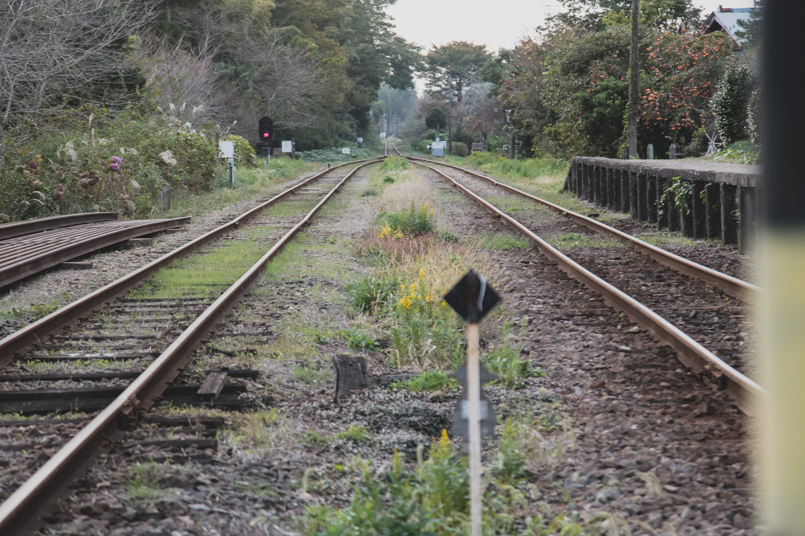 分かれ道の線路