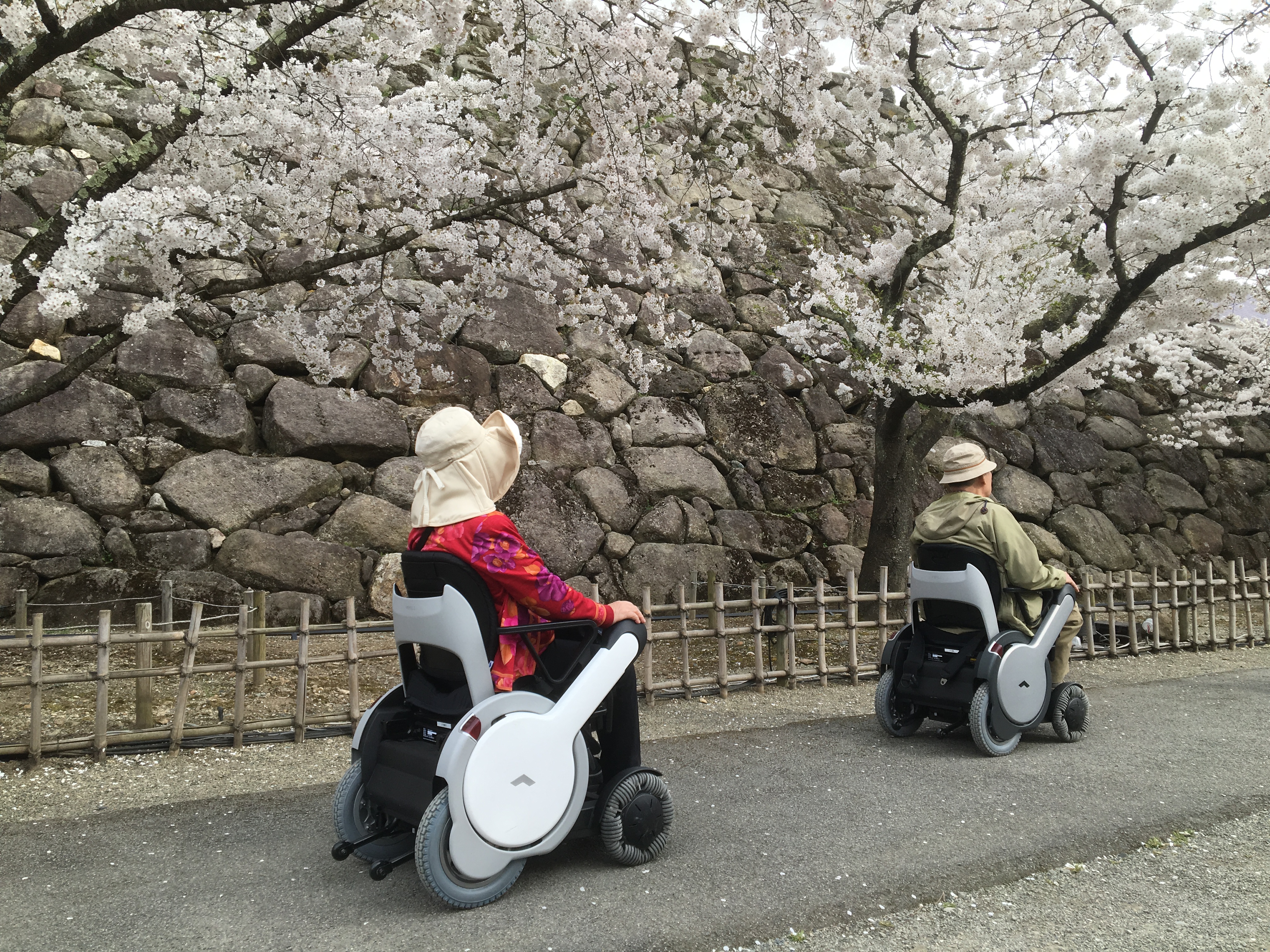 2年前の様子