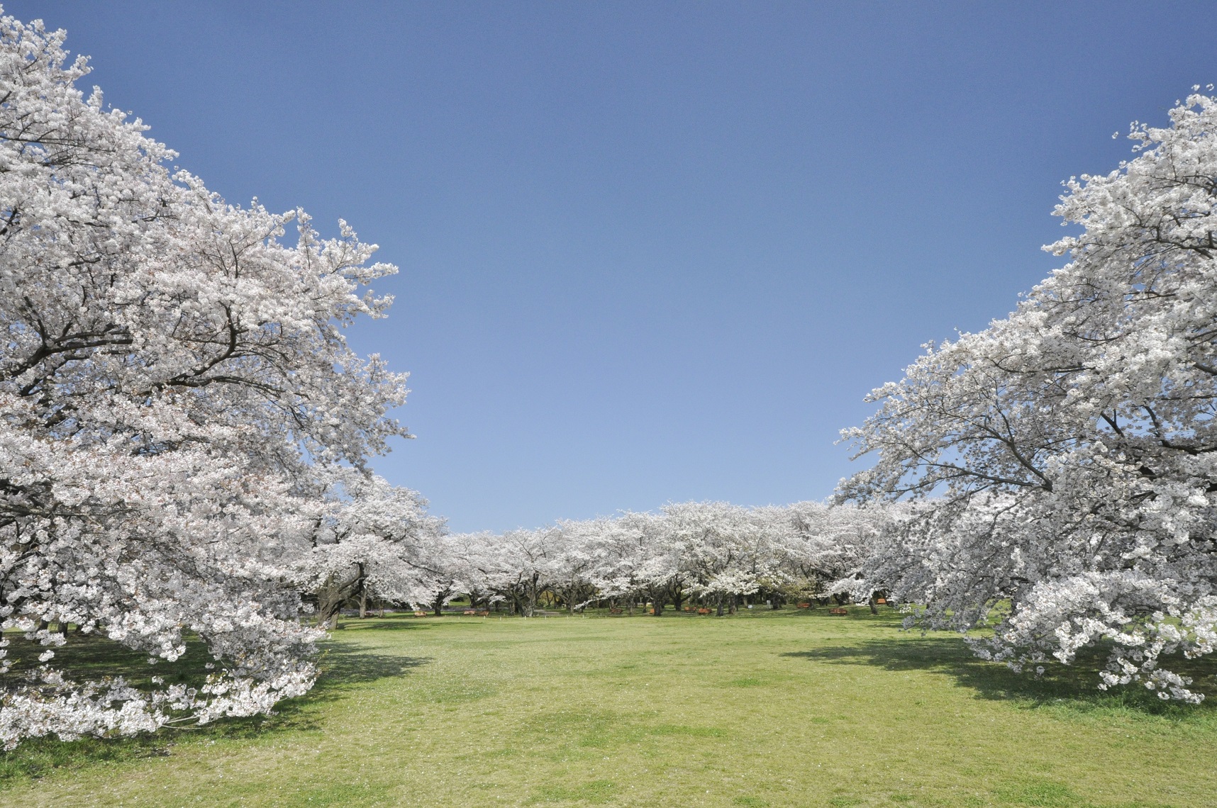 六義園