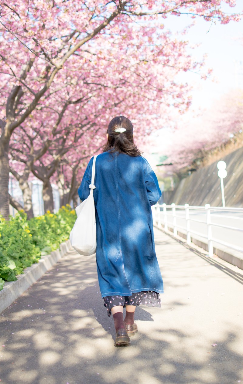 桜の中を歩く女性