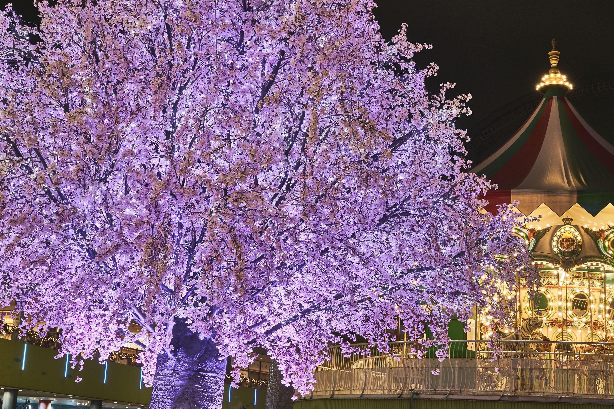 「桜」